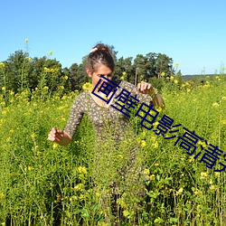 画壁电影高清完整版在线观