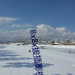 8x8x拔插影视(shì)