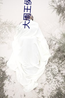 大周王侯