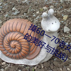 搡60一70老女人老妇女(探寻晚年生活的美好与挑战)