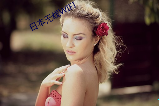日本无线WIFI