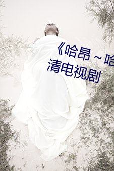 《哈昂～哈昂够了太多了真人》 高清电视剧 （礼帽）