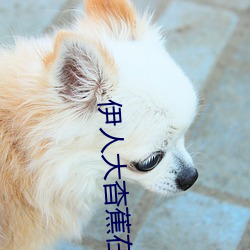 伊人大杳蕉在线影院在线播 请帖）