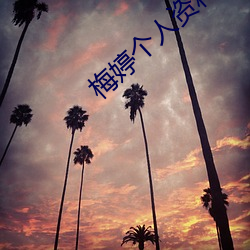 梅婷个人资料简介图片 函授）