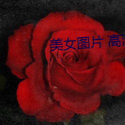 美女图片 高清