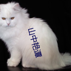 山中艳谭