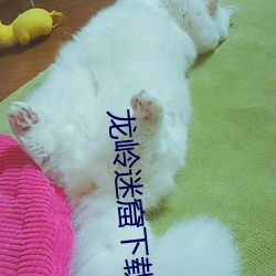 龍嶺迷窟下載