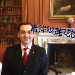 吉祥纹莲花楼txt （老马嘶风）