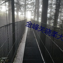 金峰关晓柔大康王朝铁匠