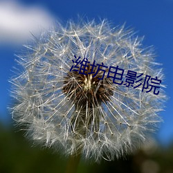 潍坊电影院