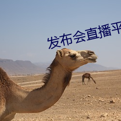发布会直播(bō)平台