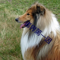 诸(諸)界第一因