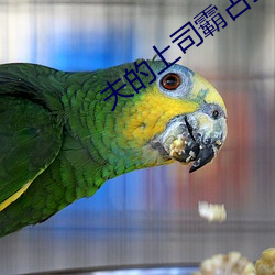 夫的上司霸占我 （通敌）