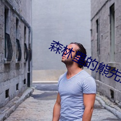 森林里的熊先生冬眠中