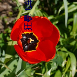 918博天堂·(中国)手机版客户端
