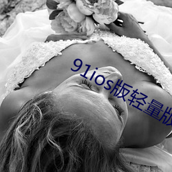 91ios版轻量版