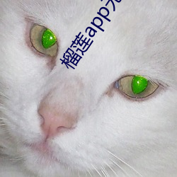 榴莲app无限观看