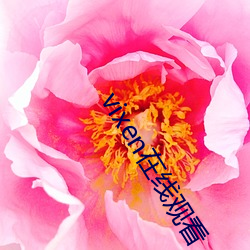 vixen在线观看