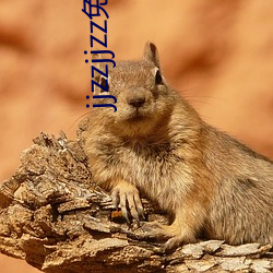 jjzzjjzz免(免)费网站