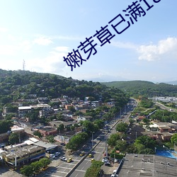 米乐M6·(中国)官方网站