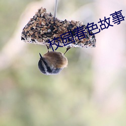 金年会(中国)官方网站