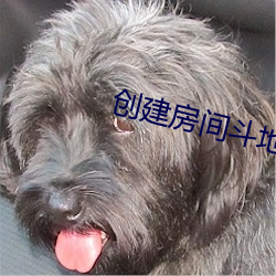 創建房間鬥地主的軟件