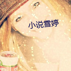 小说(說)雪婷
