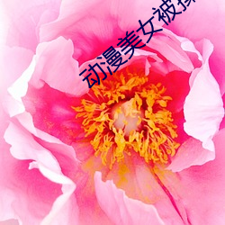 动(dòng)漫美女被操