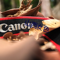 山西女(nǚ)色