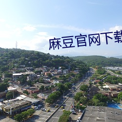 麻豆官網下載