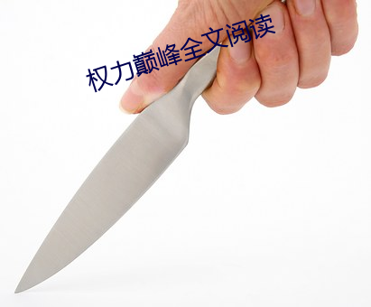 权(quán)力巅峰全文阅读