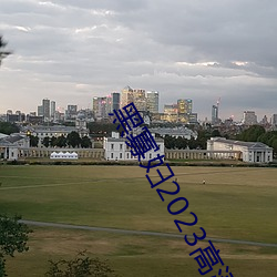 黑(黑)寡妇2023高清(清)完(完)整观看(看)