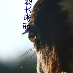 尊龙凯时人生就得博·(中国)官网