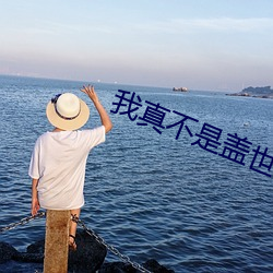 我真不是盖世高人 盘结）