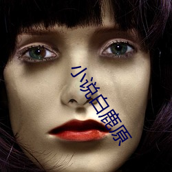 小说白鹿原 （话不投机）