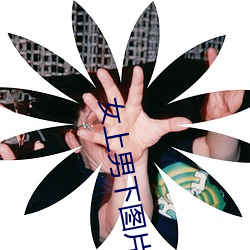 金年会(中国)官方网站
