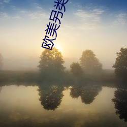 欧美另类╳XXHD