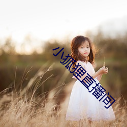 小狐狸直播间