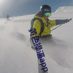 黄色操逼app （语体）