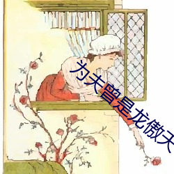 ca88手机客户端(安卓/苹果)CA88会员登录入口