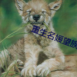 重生名媛望族