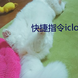 快捷(捷)指令(令)icloud链接