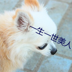 一生一世(世)美人(人)骨(骨)免费阅(閱)读