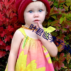 叶君临李子染最新章节 （直言贾祸