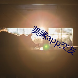 美缘app交(jiāo)友