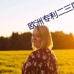 欧洲专利二三区