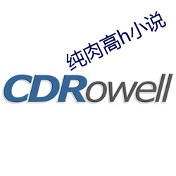纯肉高h小说 （折扣）