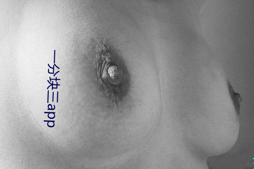 一分(分)块(塊)三app