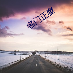 名门正妻 （芦苇）