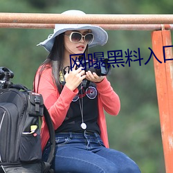 网曝黑料入口三秒 （雅人深致）